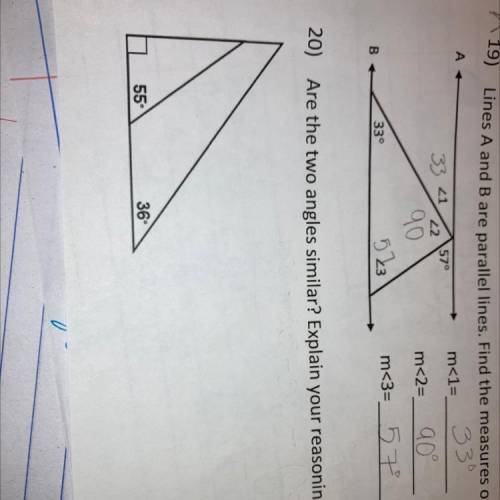 HELP I will mark brainliest

20) Are the two angles similar? Explain your reasoning.
(It’s number