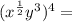 (x^{\frac{1}{2}}y^3)^4 =