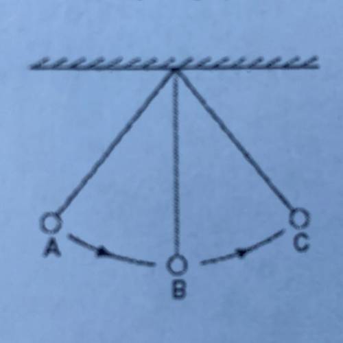 2. The diagram below shows three positions, A, B, and C, in the swing of a pendulum, released from