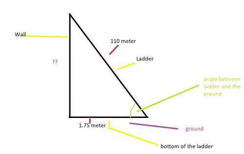 A 110 m ladder rests against the side of a wall. The bottom of the ladder is 1.75 m from the base of