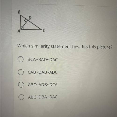 Please help!! which similarity statement best fits this picture