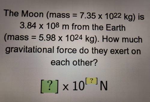 The Moon (mass = 7.35 x 1022 kg) is 3.84 x 108 m from the Earth (mass = 5.98 x 1024 kg).

How much