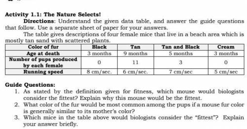 Understand the given data table, and answer the guide questions

that follow.ty po<3