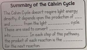 HELP WITH CALVIN CYCLE!

Fill the empty spaces pls!
...the production of a)________ and b)________