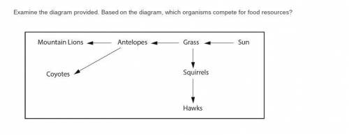 Examine the diagram provided. Based on the diagram, which organisms compete for food resources?
