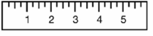 What fractional parts is this ruler divided into?

thirds
fifths
fourths
halves