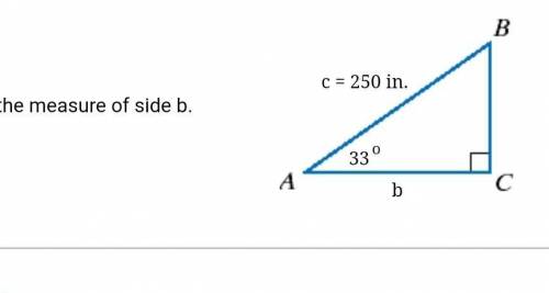Find the measure of side b.