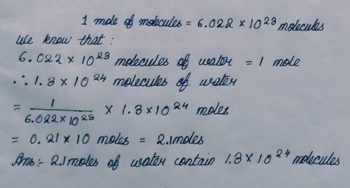 How many moles of water contain 1. 3 x 1024 molecules?.