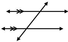 What is transversal lines?