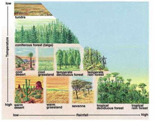 Summarize the relationship between rainfall and temperature and biomes