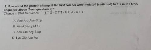How would the protein change if the first two A's were mutated to T's in the dna sequence above?