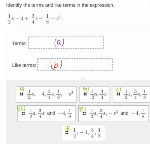 Identify the terms and like terms in the expression.