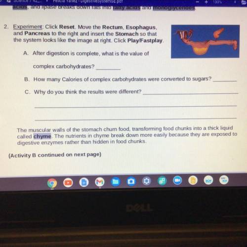 Can you help me with this question please?