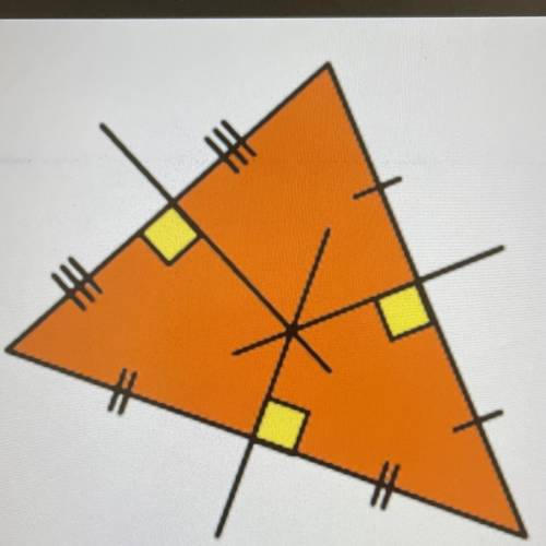 This triangle has??

A. Midsegments 
B. Periodicidad bisectors 
C. Altitudes 
D. Medians
