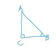 In right triangle ABC, C is the right angle. What does sinB equal? options: sinB, cosB, cosA, not en