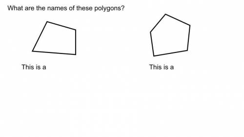 What are the names of these polygons