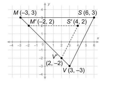 Is Triangle M'S'V' a reduction or an enlargement of the original Triangle MSV?

In your answer, sp