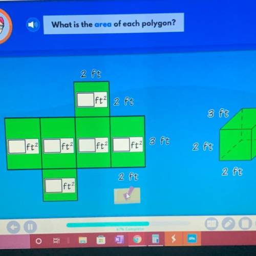 What is the area of each polygon?