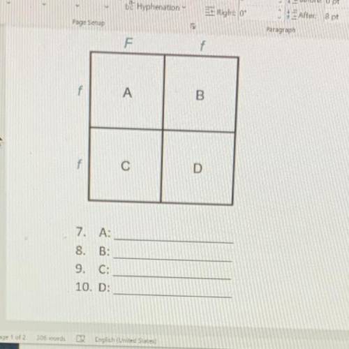 What does each letter represent in the punnet square