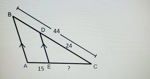 Pls helppp Help Solve for x X =