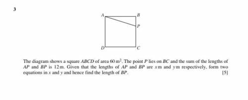 Please help with this question and give the working.