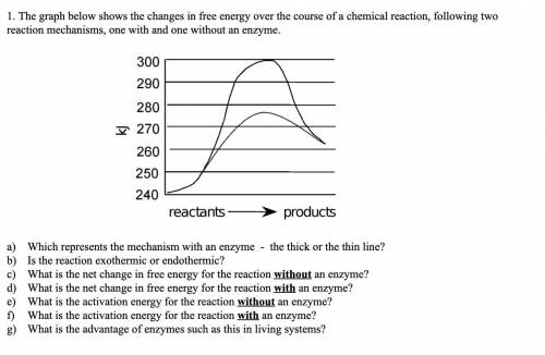 The graph below shows the changes in free energy over the course of a chemical reaction, following