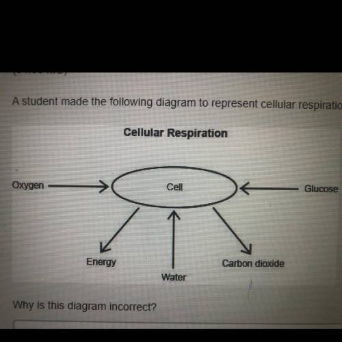 A student made the following diagram to represent cellular respiration

Why is this diagram incorr