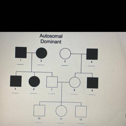 In the pedigree below the trait being studied is dominant. What are the correct alleles (letters) f