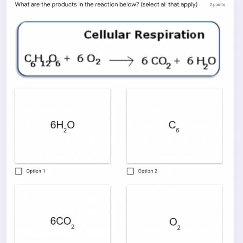 What are the products in the reaction below? (select all that apply)