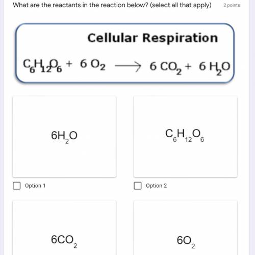 What are the reactants in the reaction below? (select all that apply)