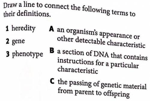 Draw a line to connect the following terms to their definitions

1. heredity A. an organism's appe