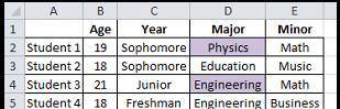 The spreadsheet below shows the age, grade level, major, and minor of four students in college. A p